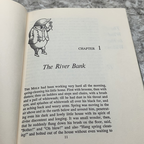 Chapter book - Picture 6 of 7